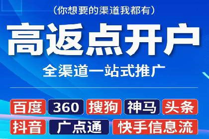 百度竞价排名服务：实战案例解析与优化技巧